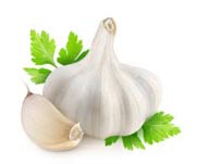 garlic-herb